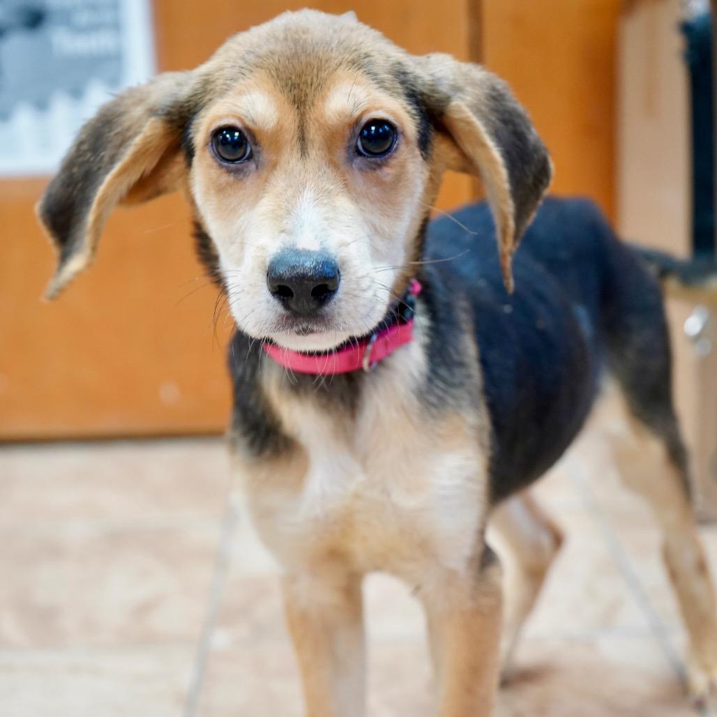 Maylene — thumbnail 2