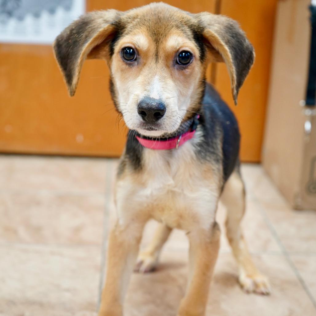 Maylene — thumbnail 3