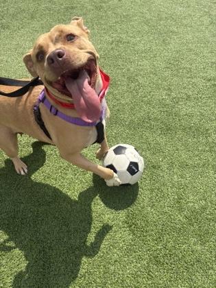 Tub Tub — thumbnail 2