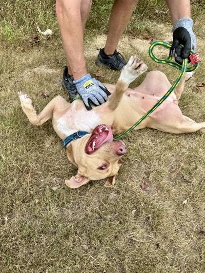 Tub Tub — thumbnail 3