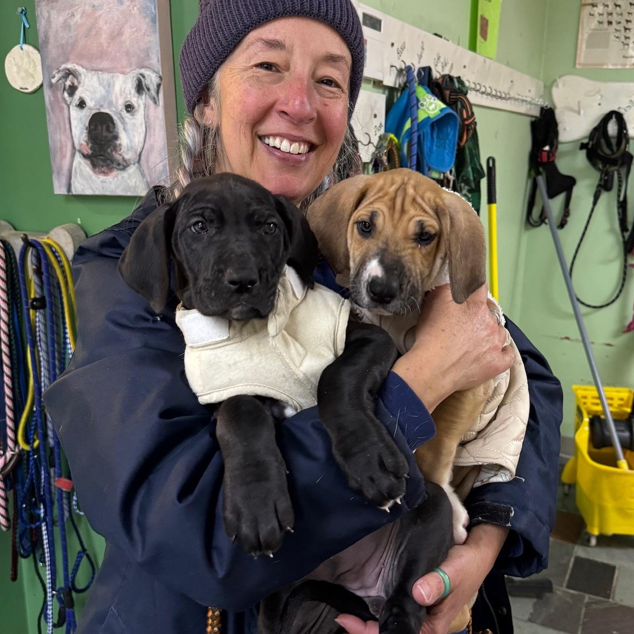 Edna, a Adoptable mixed breed image 5/5