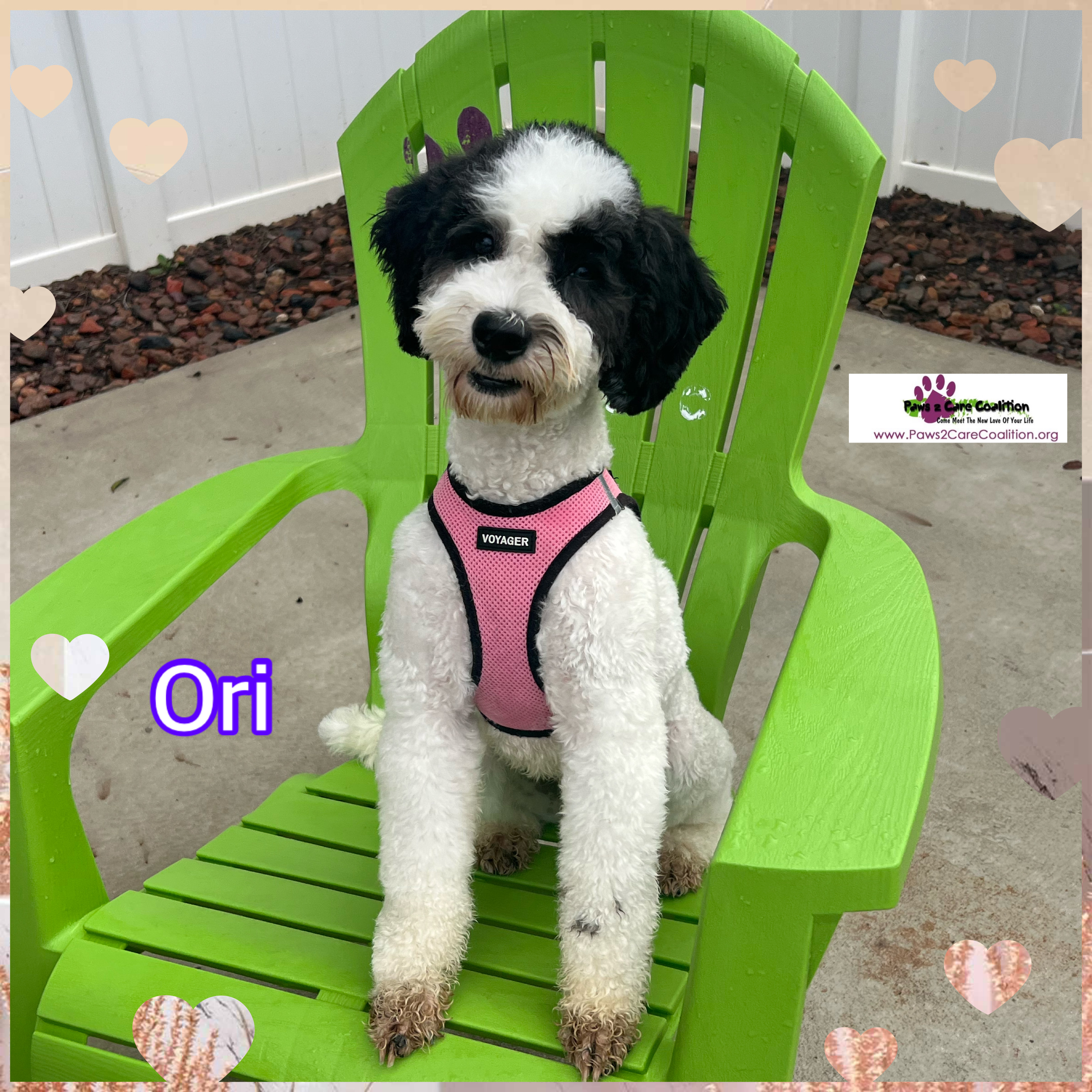 Ori