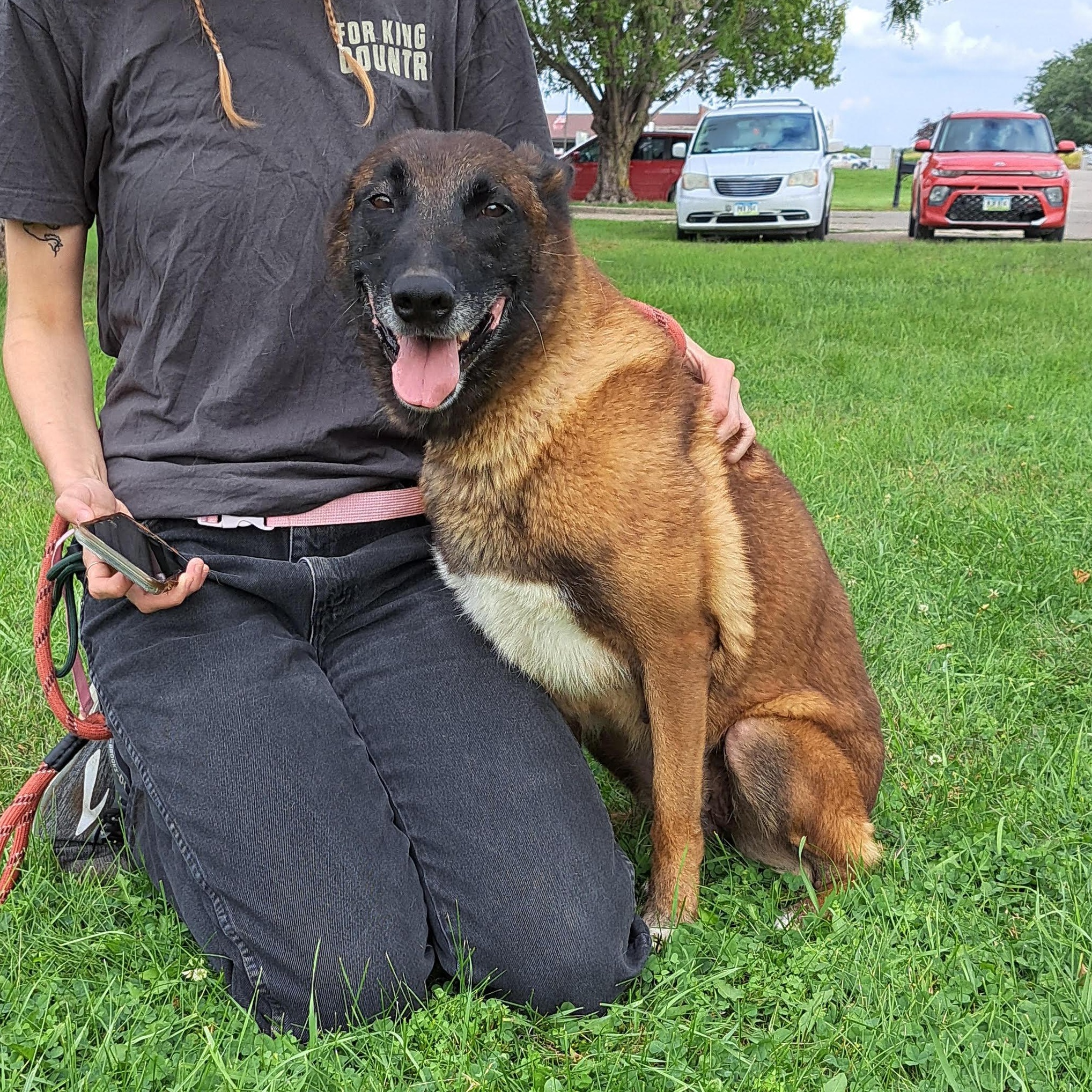 Enlarge Cinnamon, a other mixed breed in Storm Lake, IA image 1/5