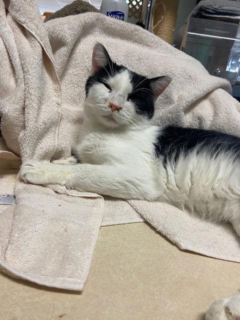 Riff Raff thumbnail 2