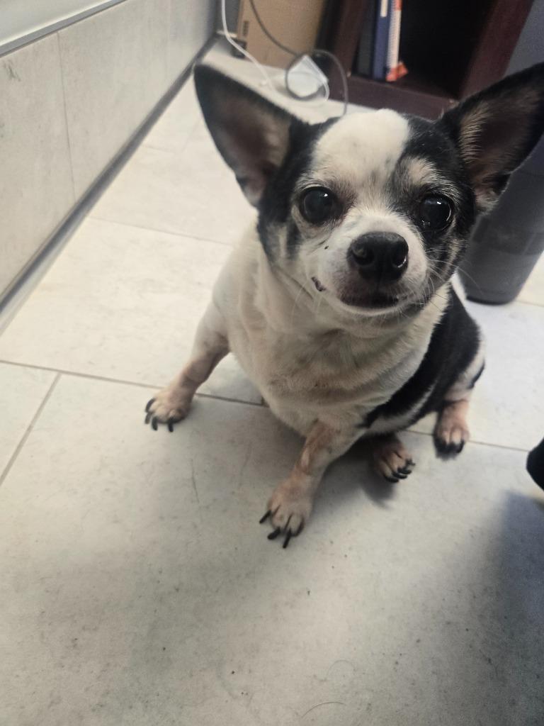 Cuty (In Foster)