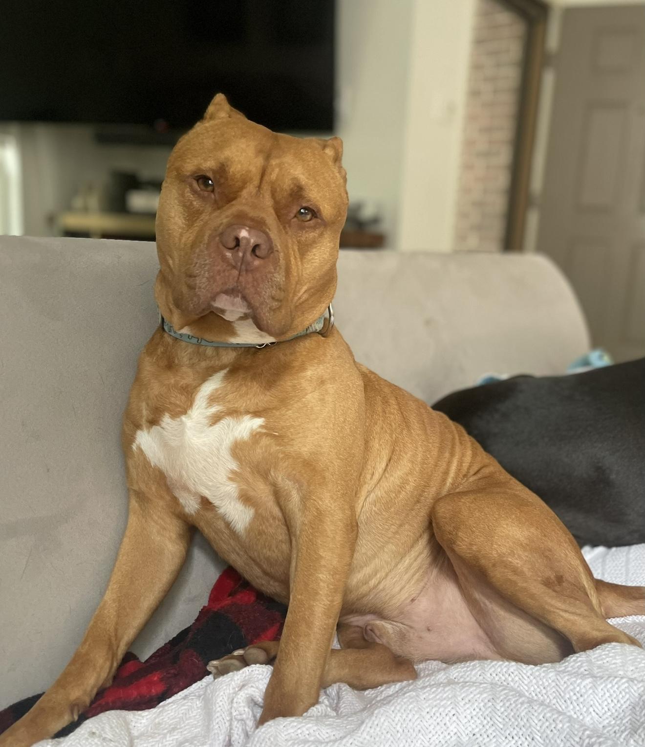 Bubba — thumbnail 2