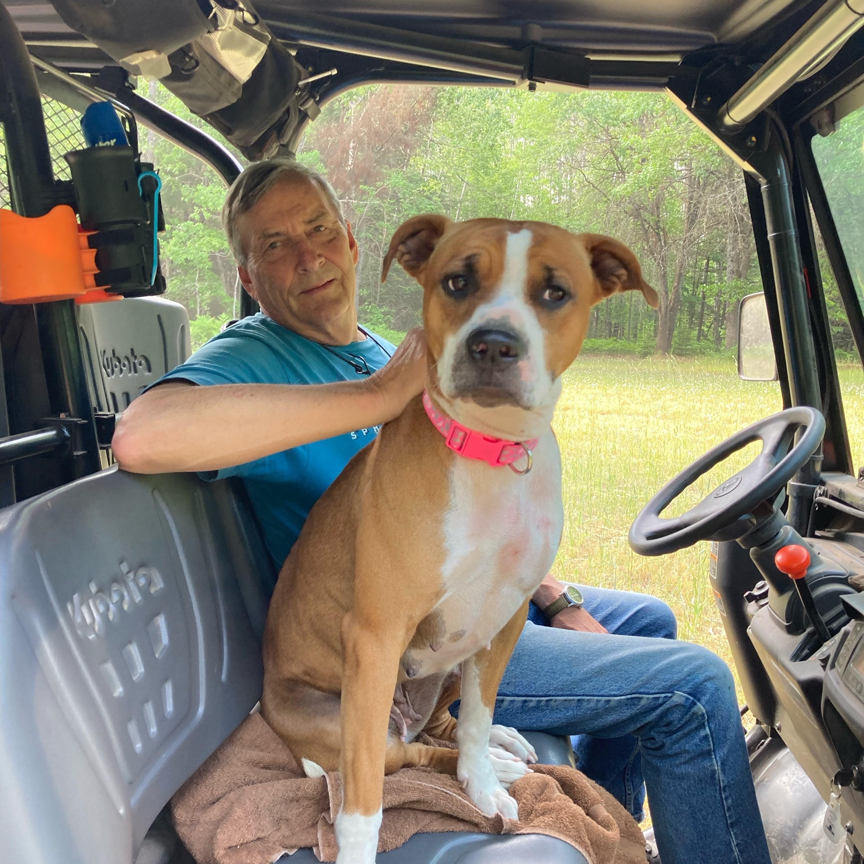 Zivea, an adoptable Mixed Breed in Big Rapids, MI, 49307 | Photo Image 4