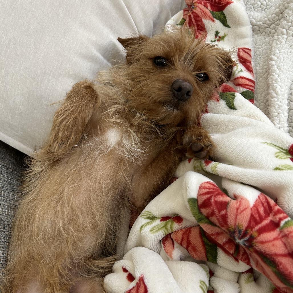 Butt Butt Jr thumbnail 2