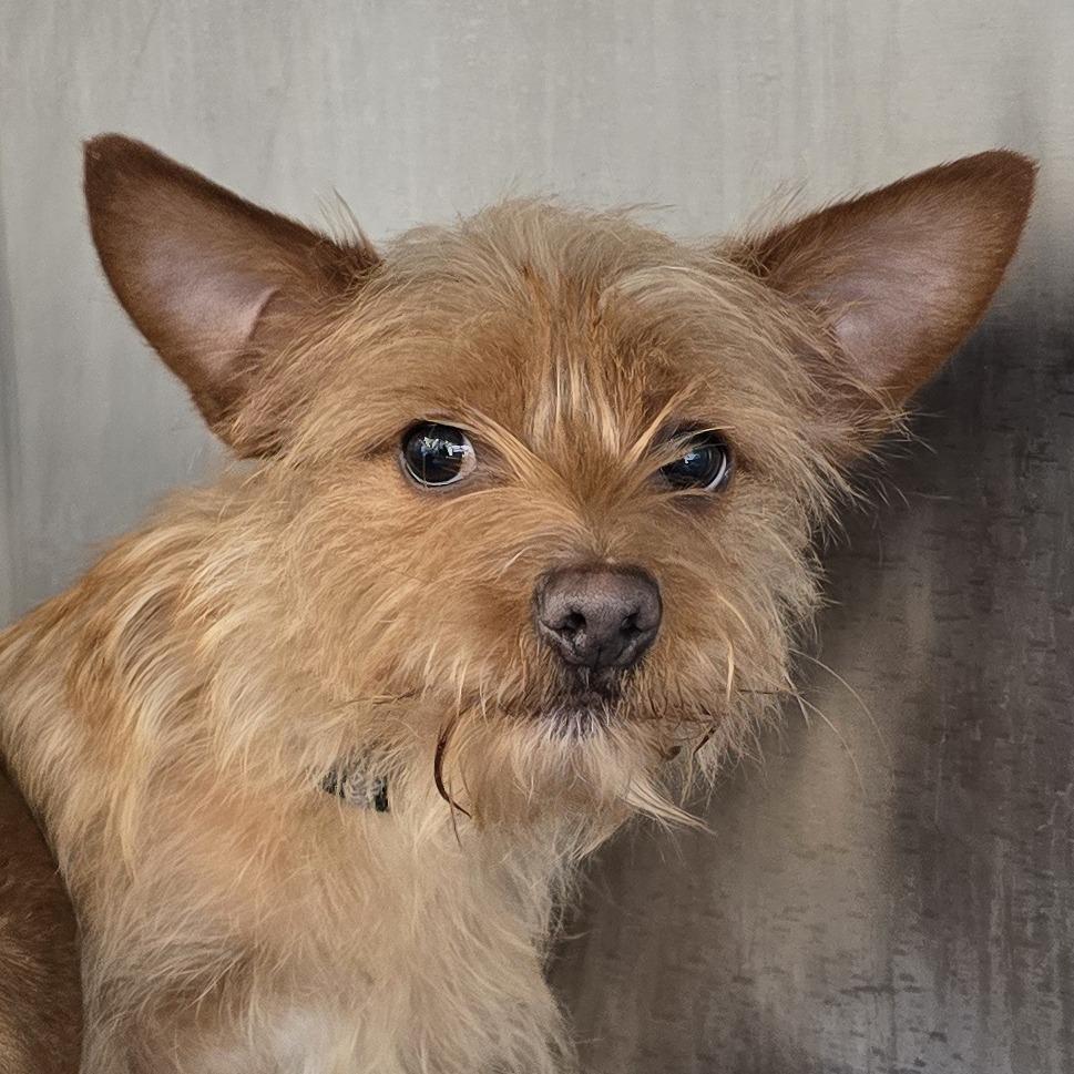 Butt Butt Jr thumbnail 3