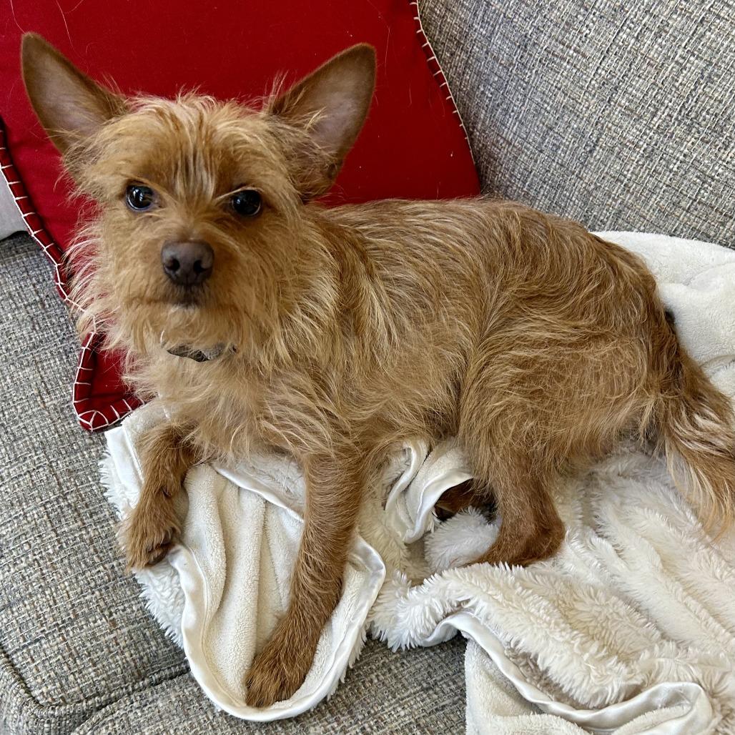 Butt Butt Jr thumbnail 5