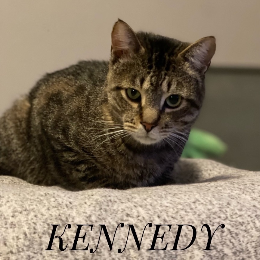 Kennedy (bonded with Twizzler)