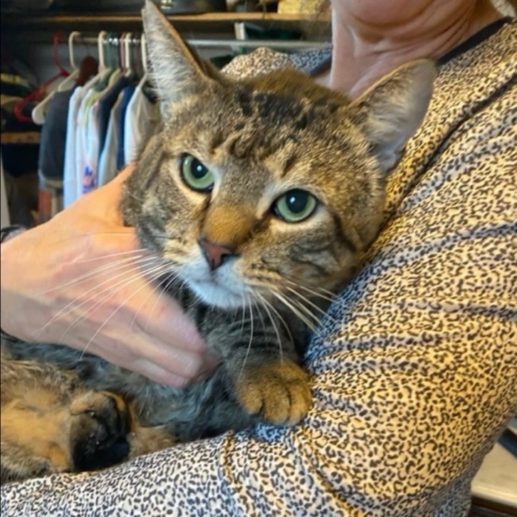 Kennedy (bonded with Twizzler)