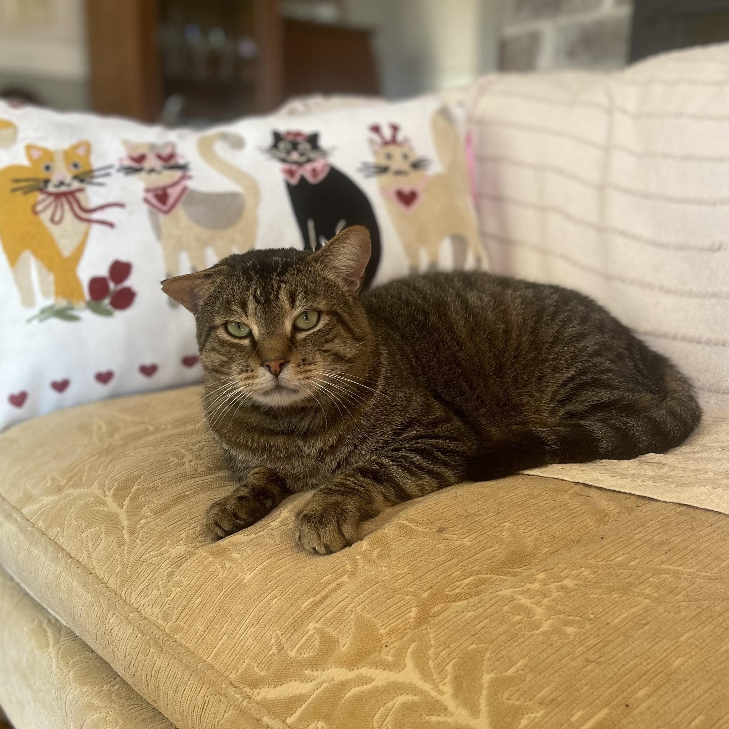 Kennedy (bonded with Twizzler)