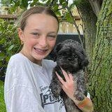 Enlarge Mulan, a Adoptable mixed breed in Sioux City, IA image 3/6