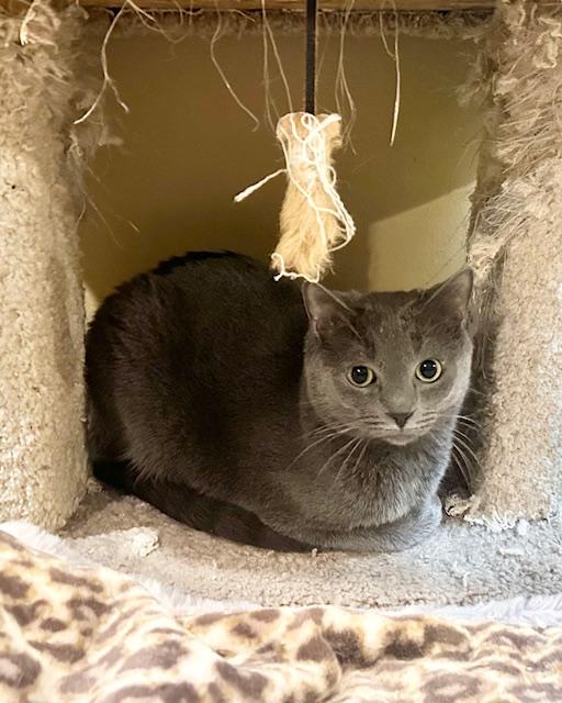 Tyson & Cole thumbnail 5