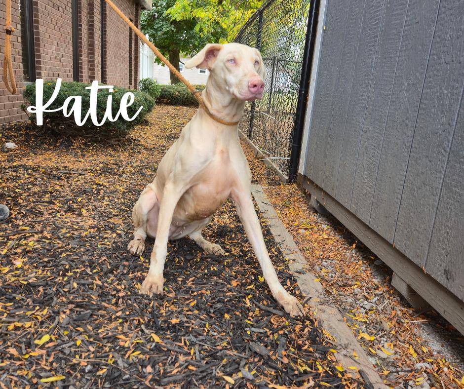 Katie
