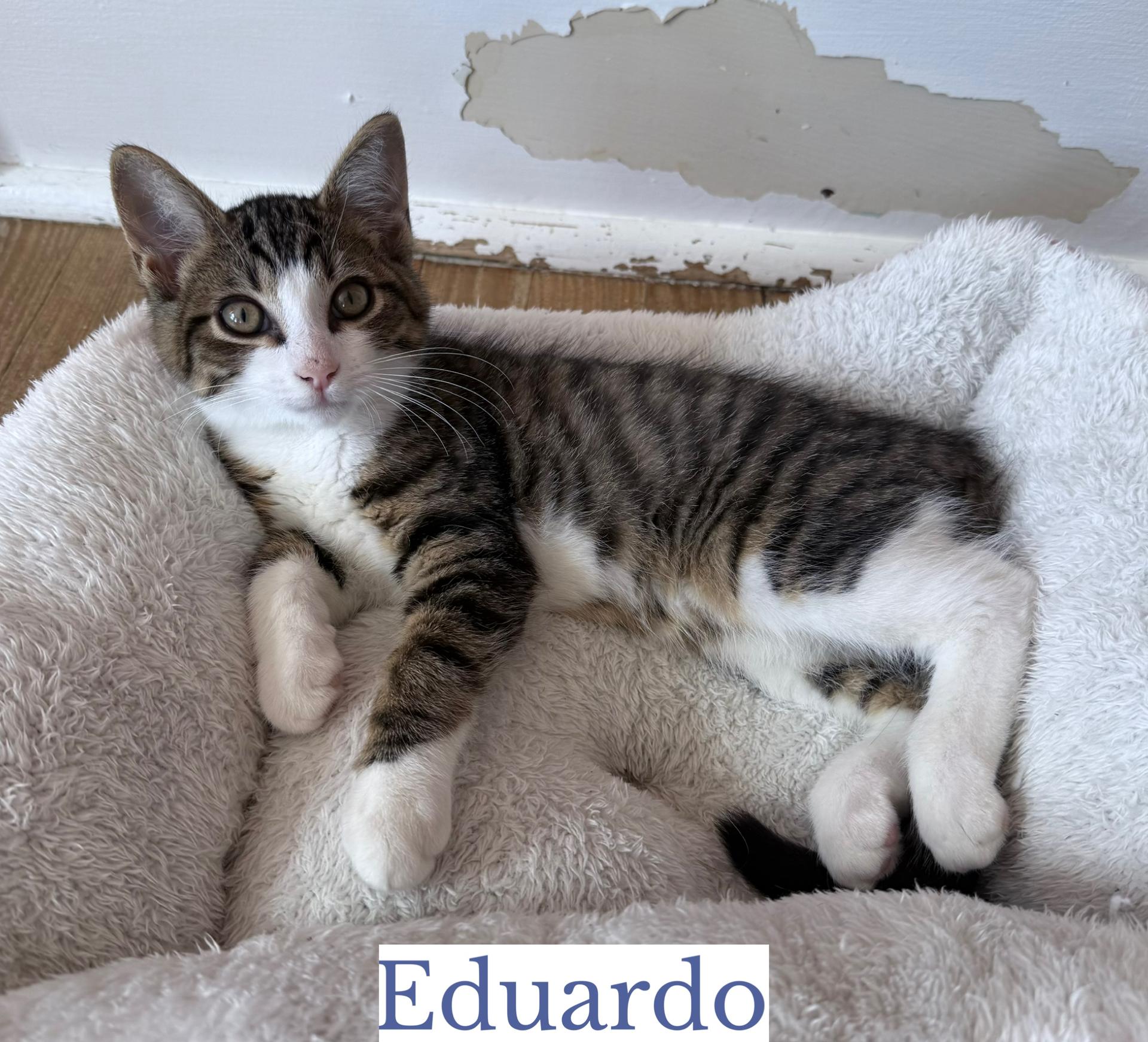Eduardo