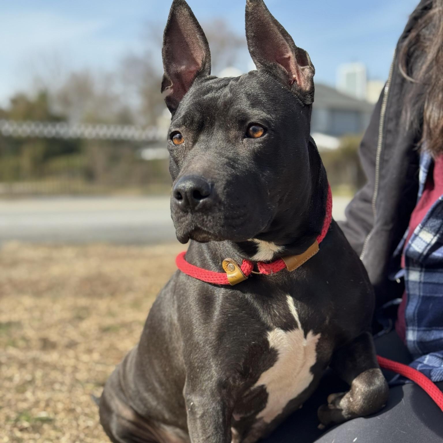 Berlin — thumbnail 5