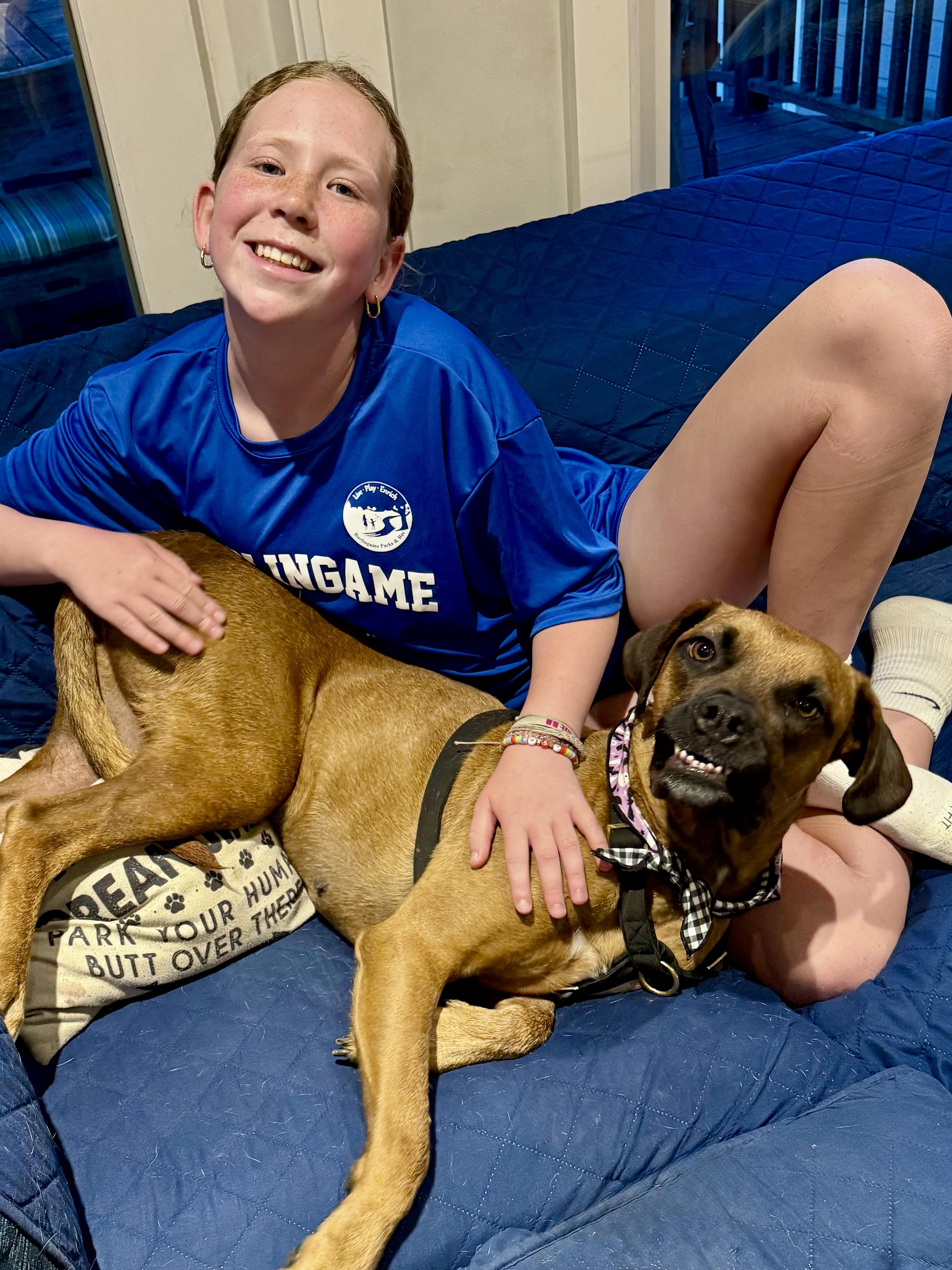 Enlarge Missy, a Adoptable mixed breed in San Diego, CA image 3/5