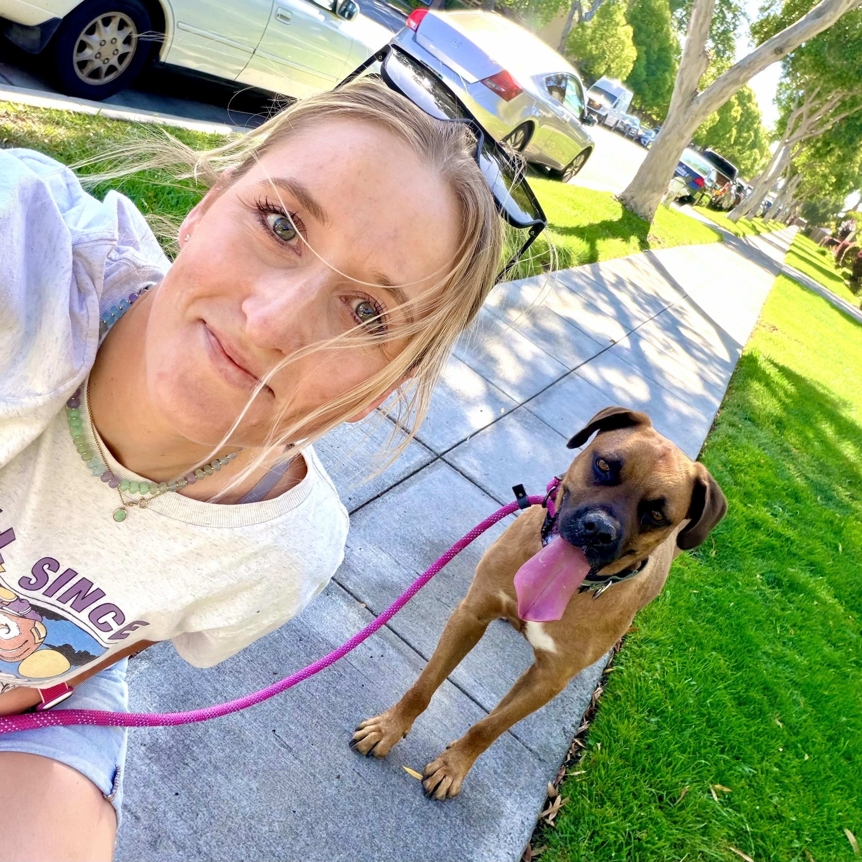 Missy, a Adoptable mixed breed in San Diego, CA image 2/6