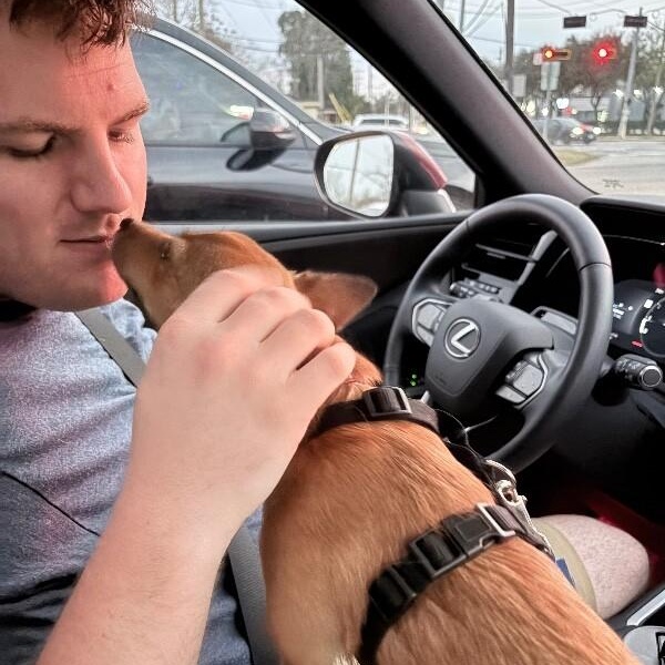 Turkey Thanksgiving — thumbnail 3