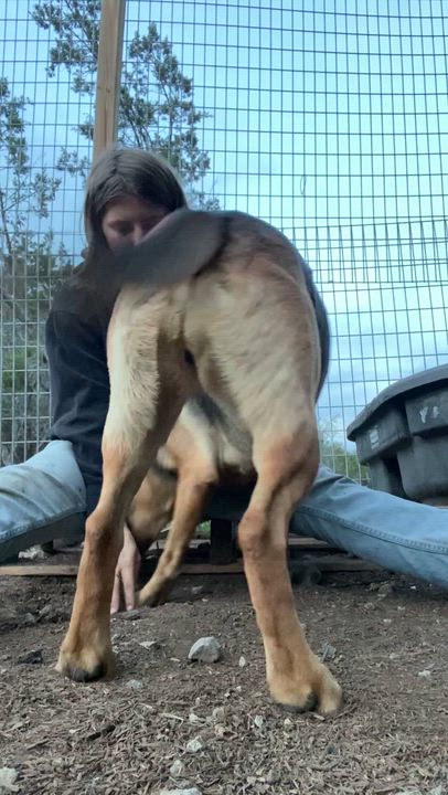 Enlarge Delilah, a Adoptable mixed breed in Leakey, TX video 2/6