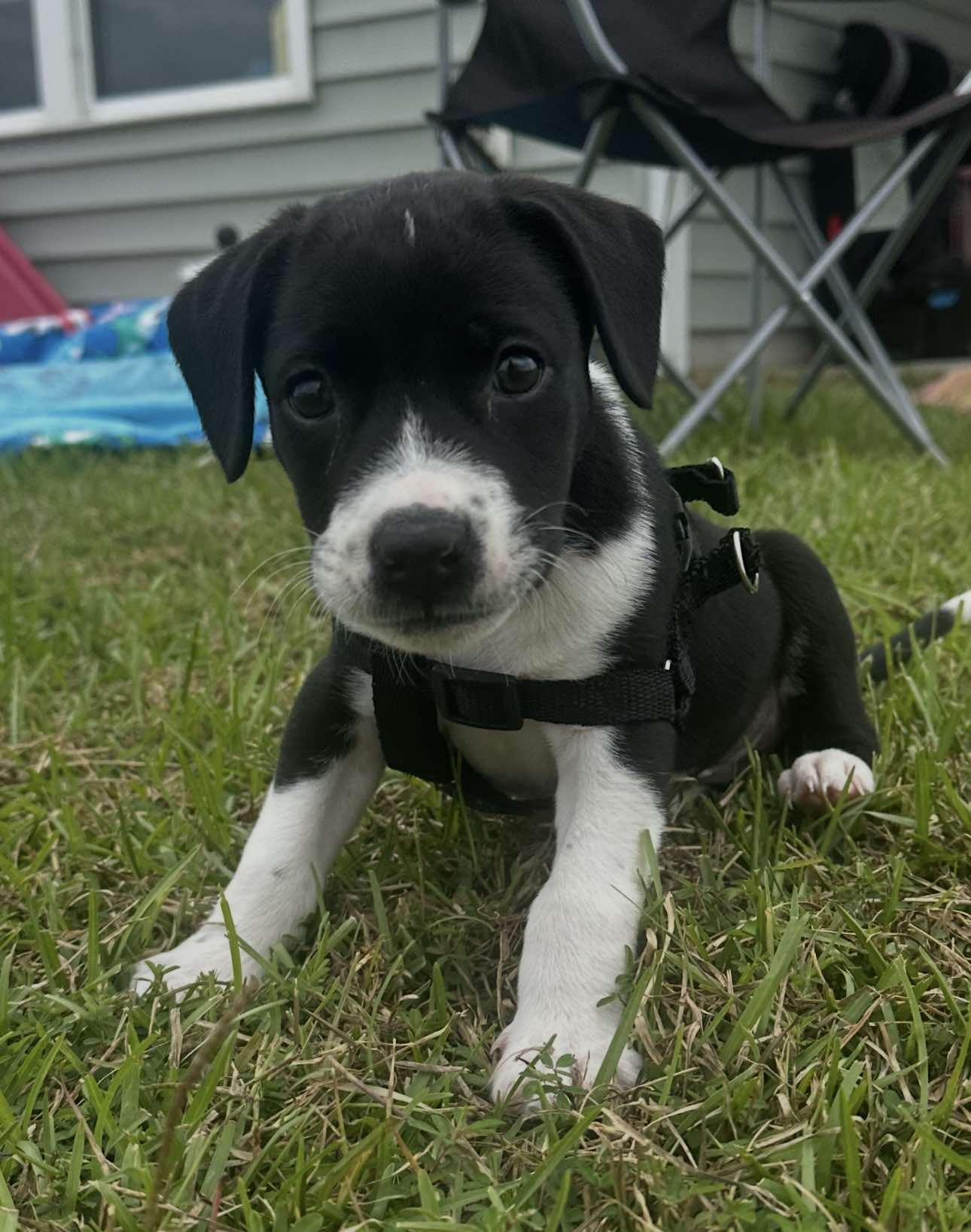 Zeus