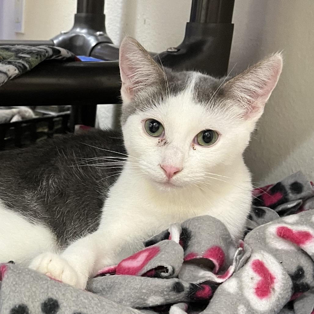 Irving B. — thumbnail 3