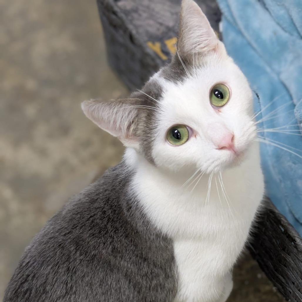 Irving B. — thumbnail 5