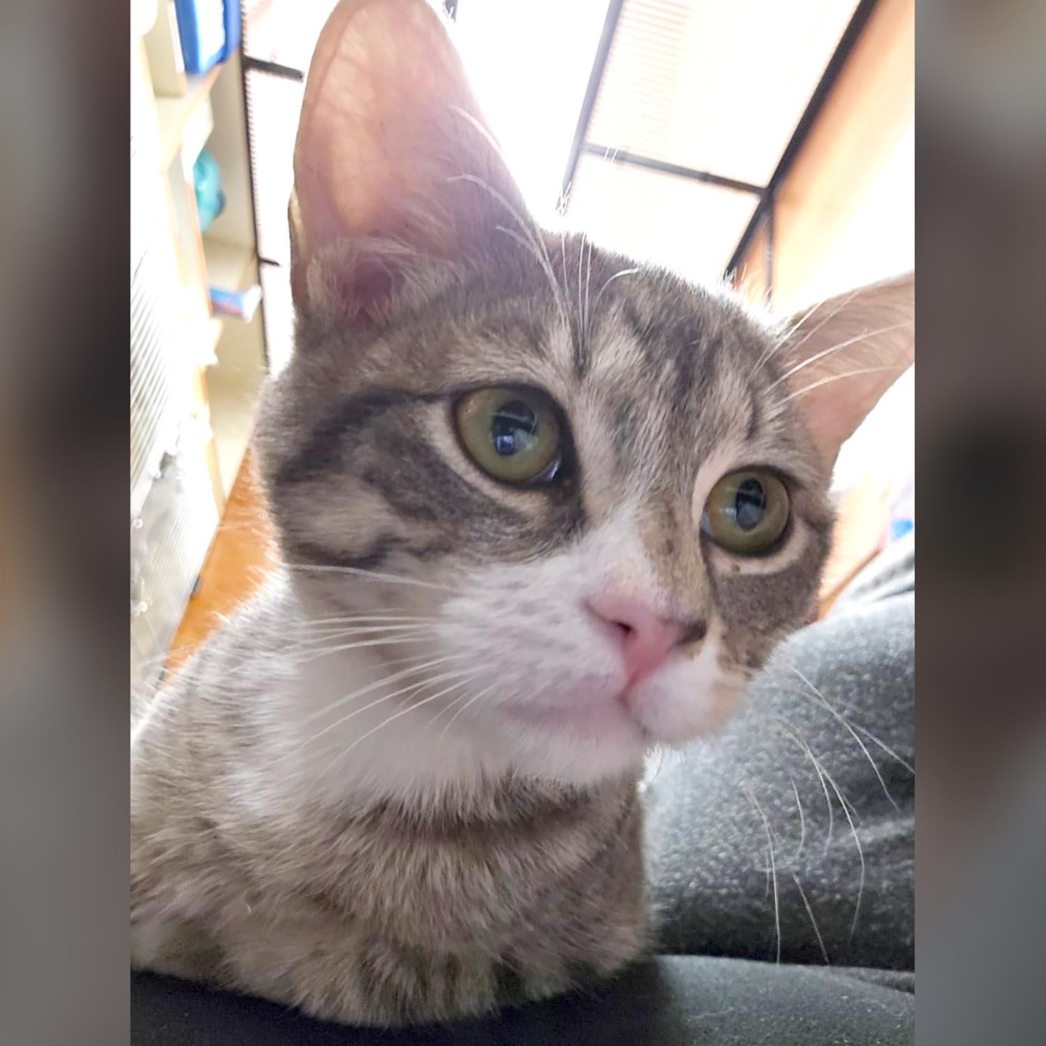 Liliana — thumbnail 5