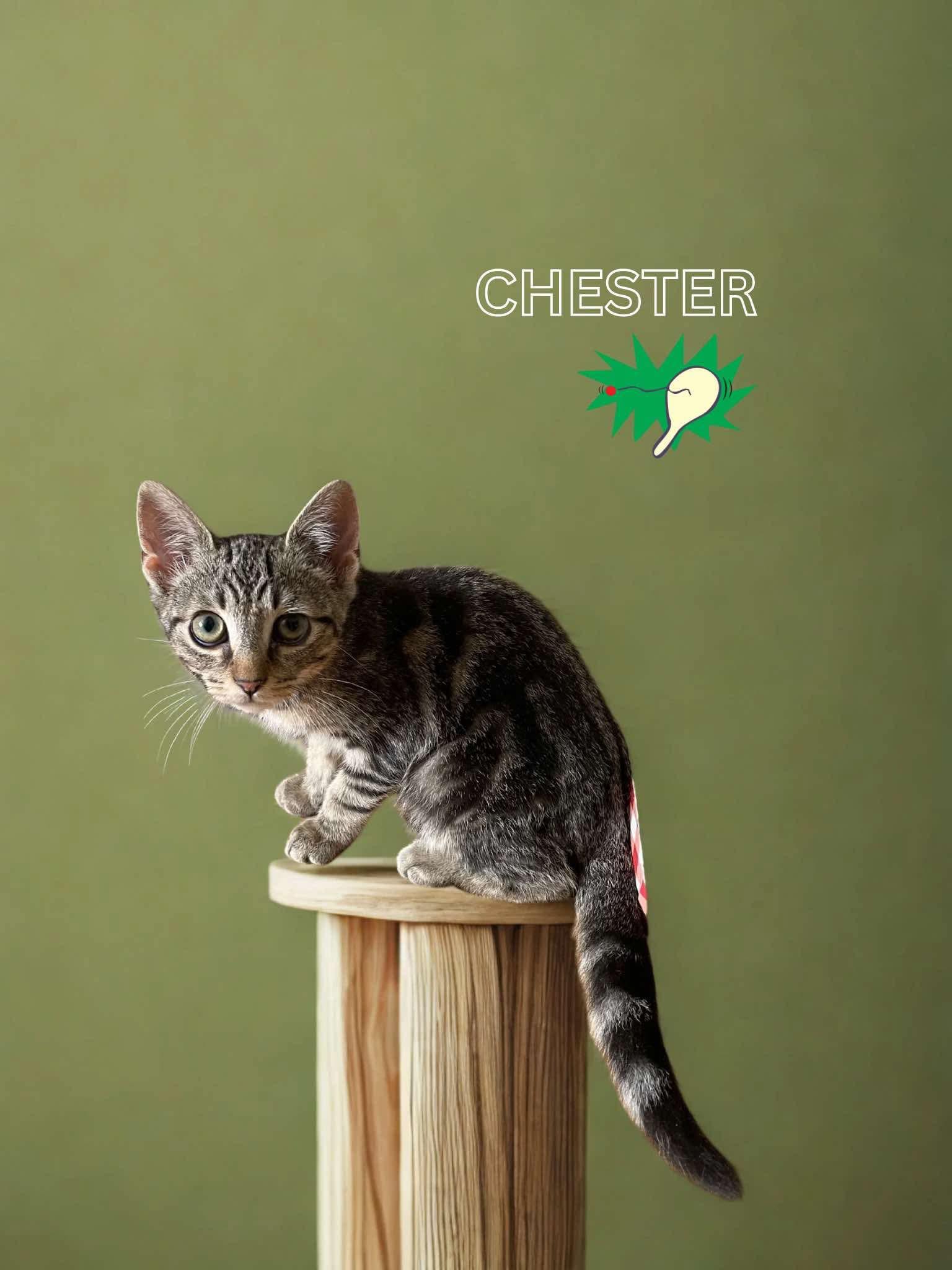 Chester