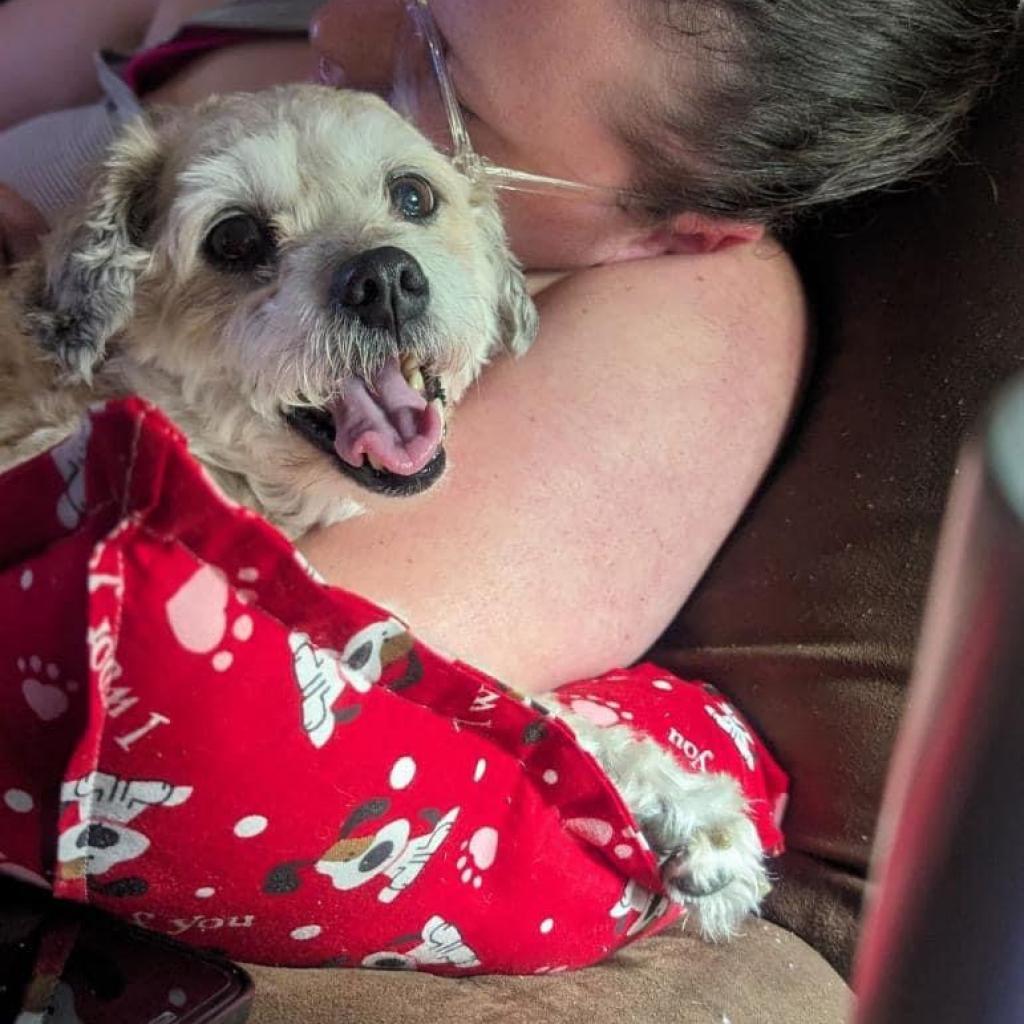 Hufflepuff thumbnail 2