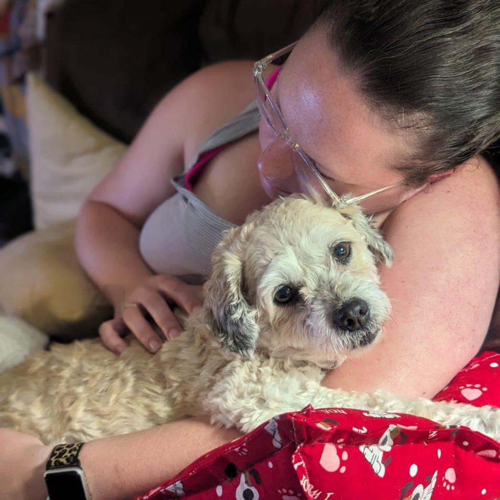 Hufflepuff thumbnail 3