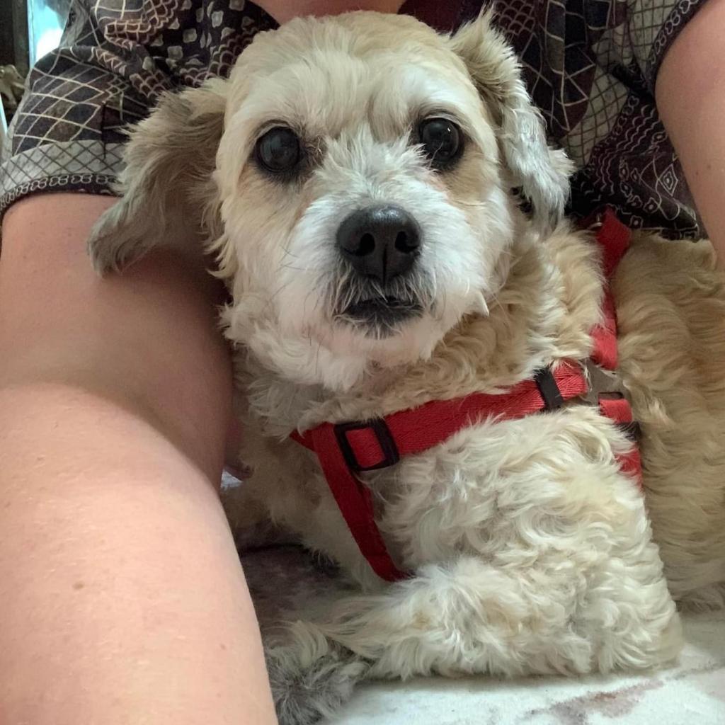 Hufflepuff thumbnail 4