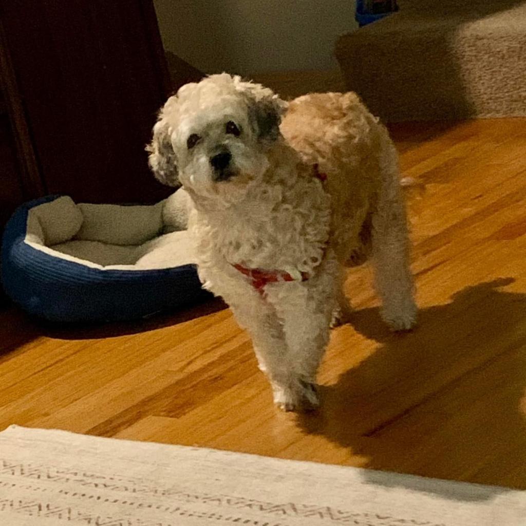 Hufflepuff thumbnail 5