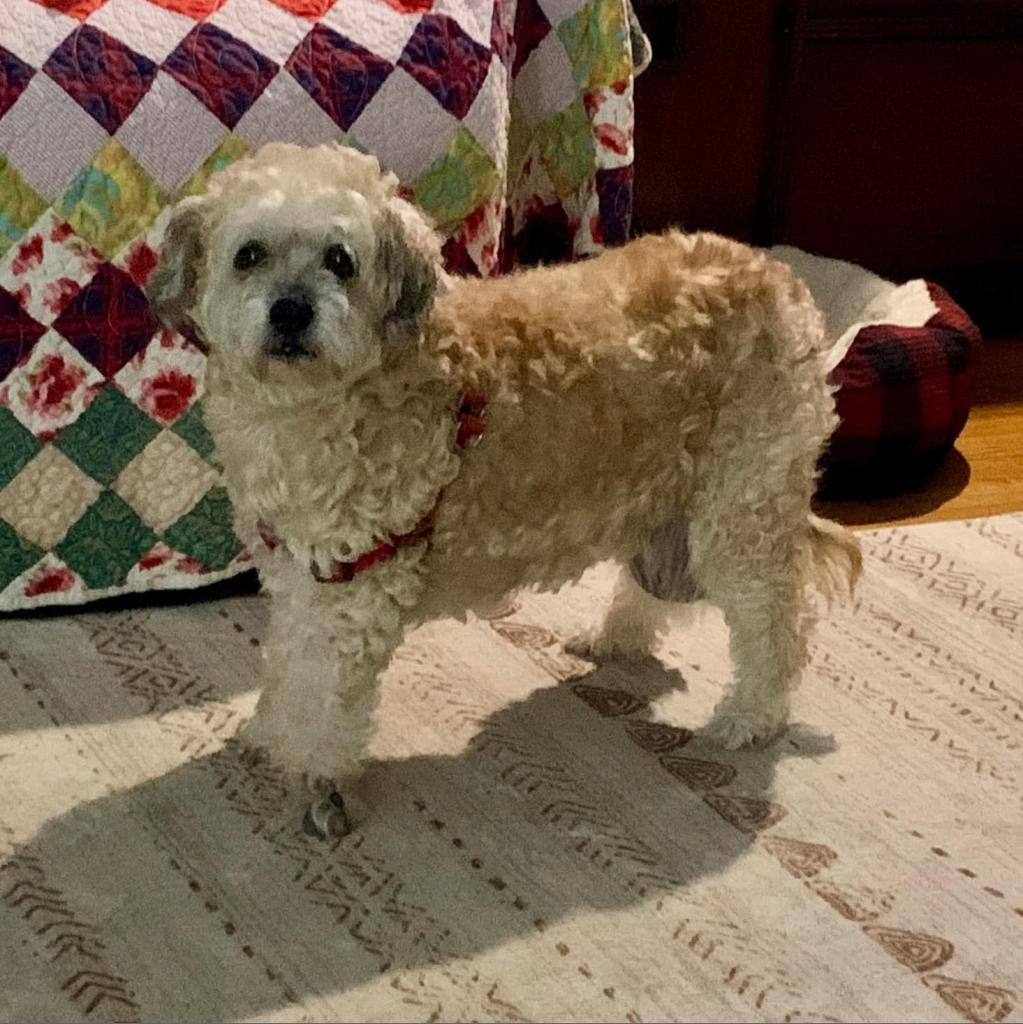 Hufflepuff thumbnail 6