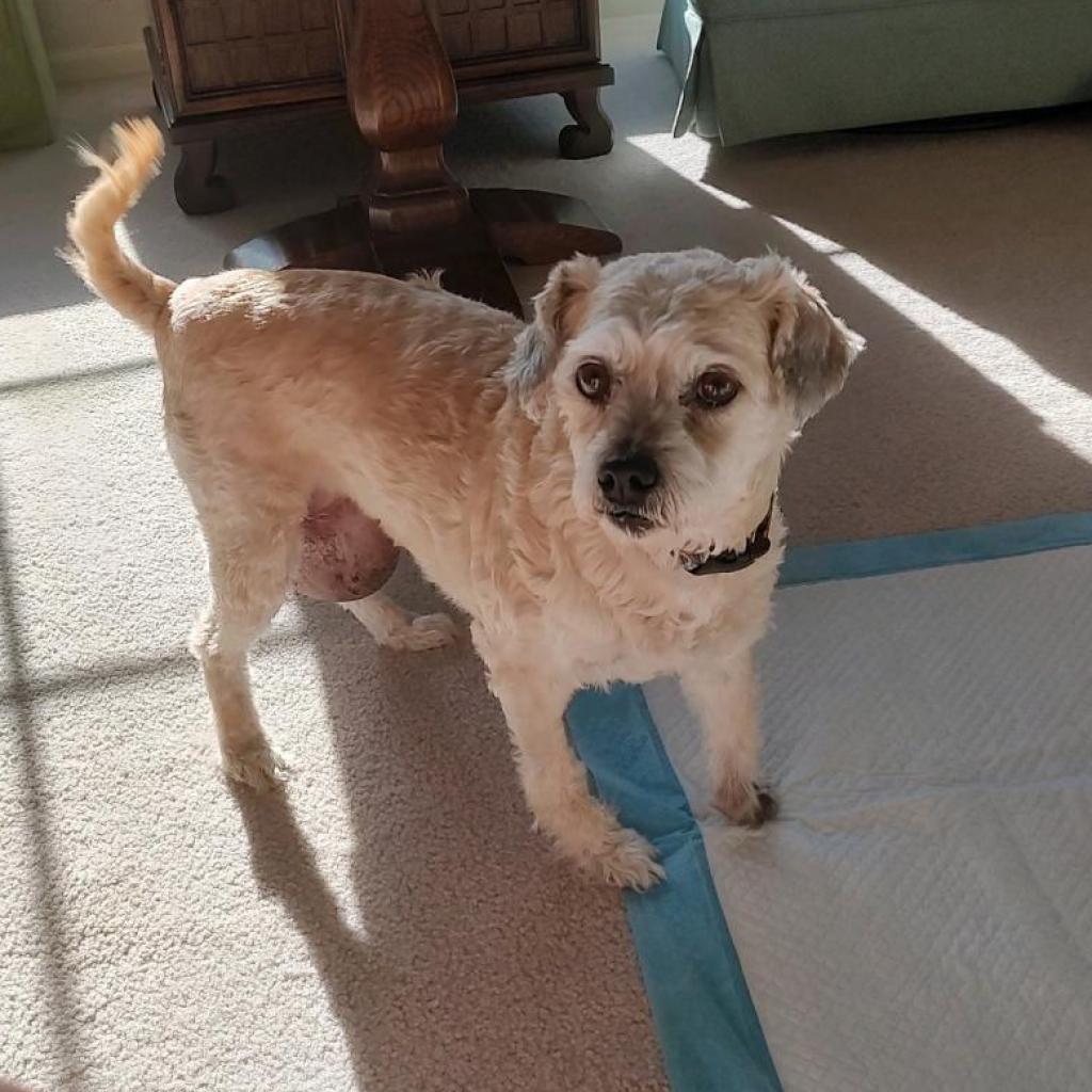 Hufflepuff thumbnail 7