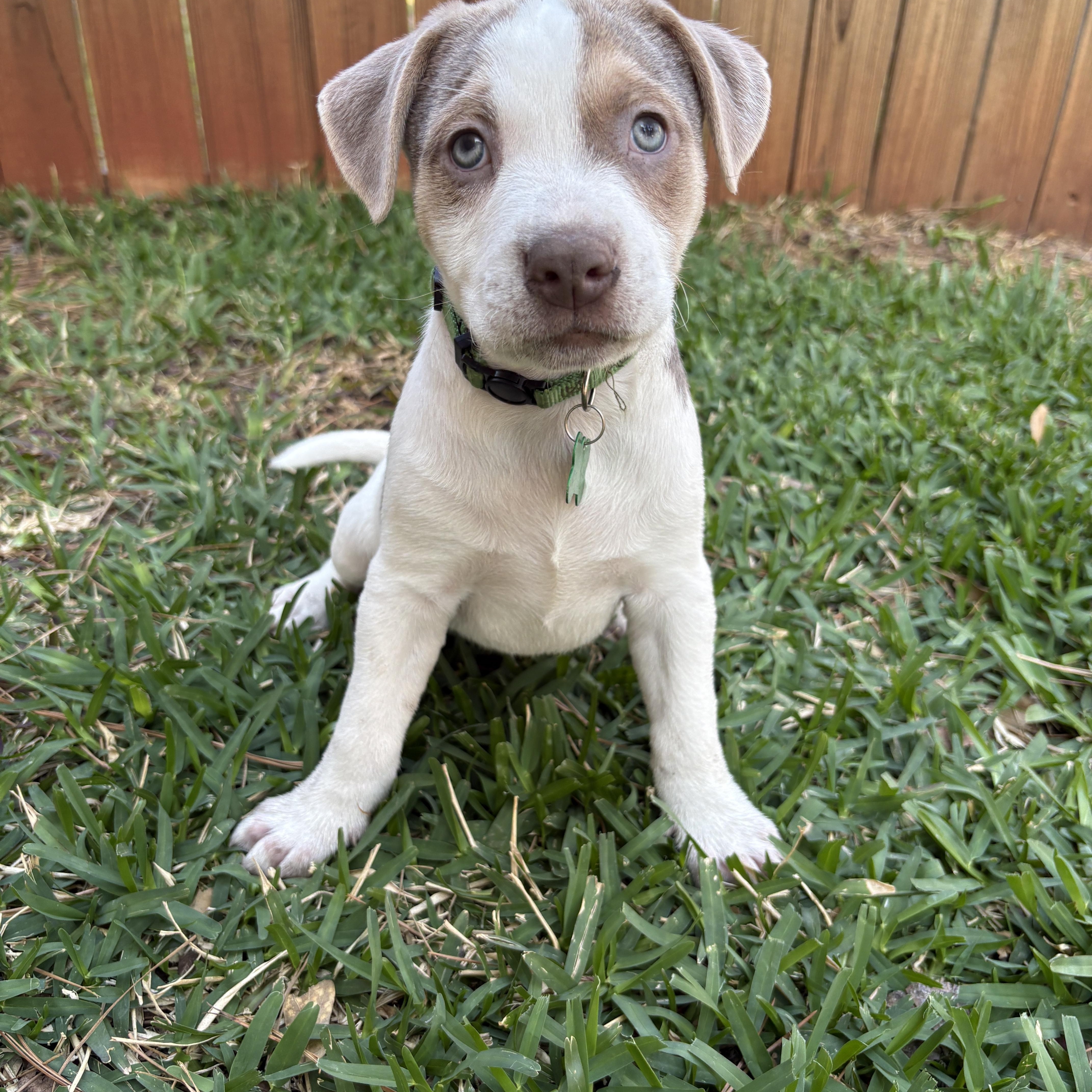 Cliff — thumbnail 2