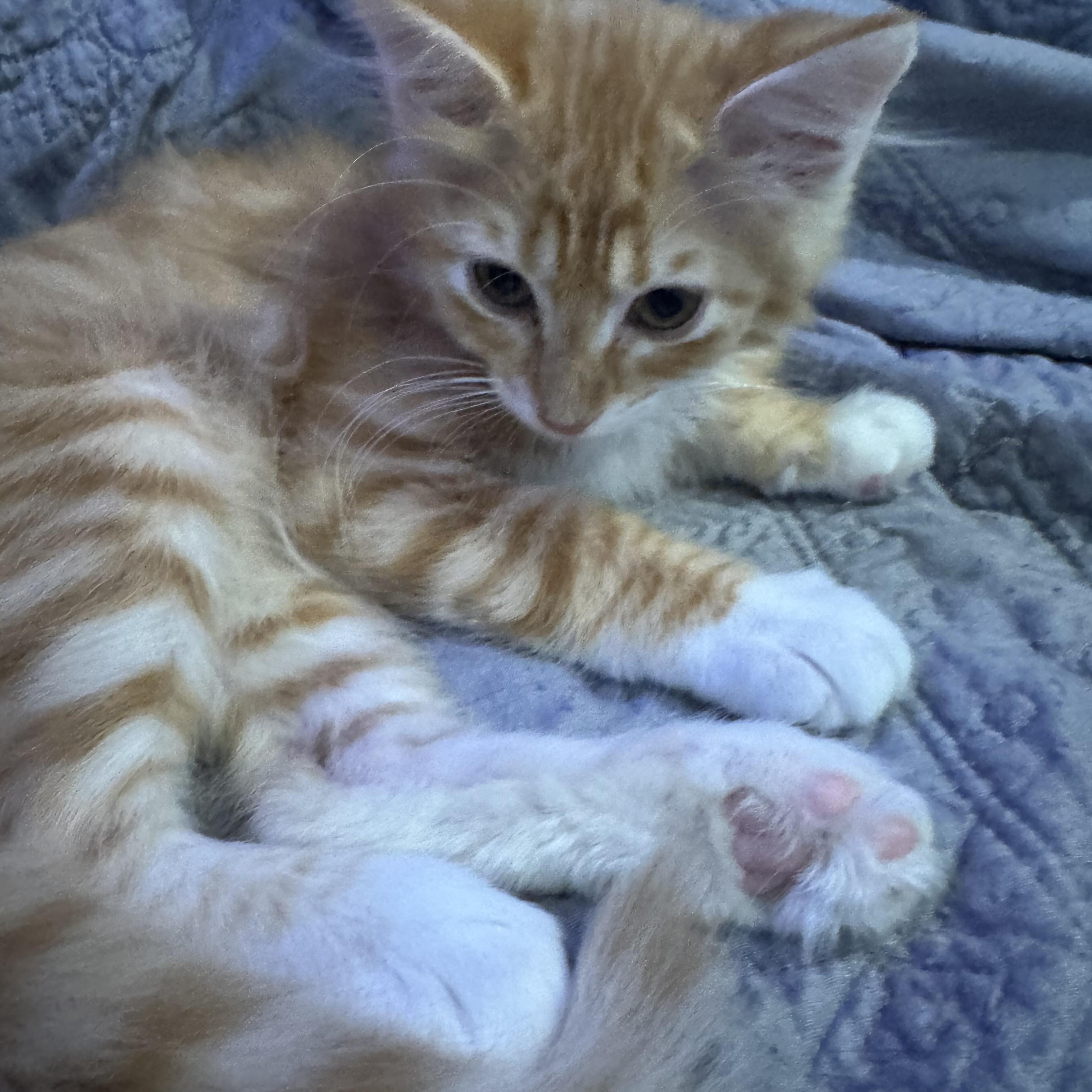 Lyon (bonded to London)