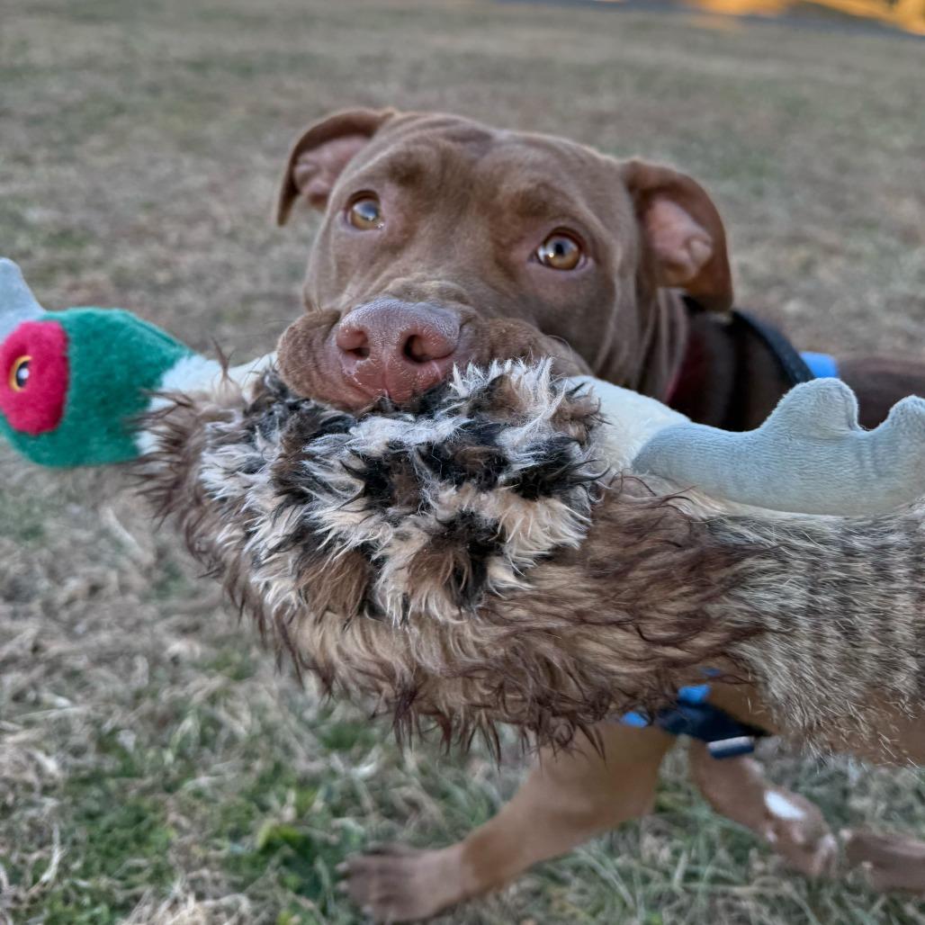 Prada — thumbnail 3