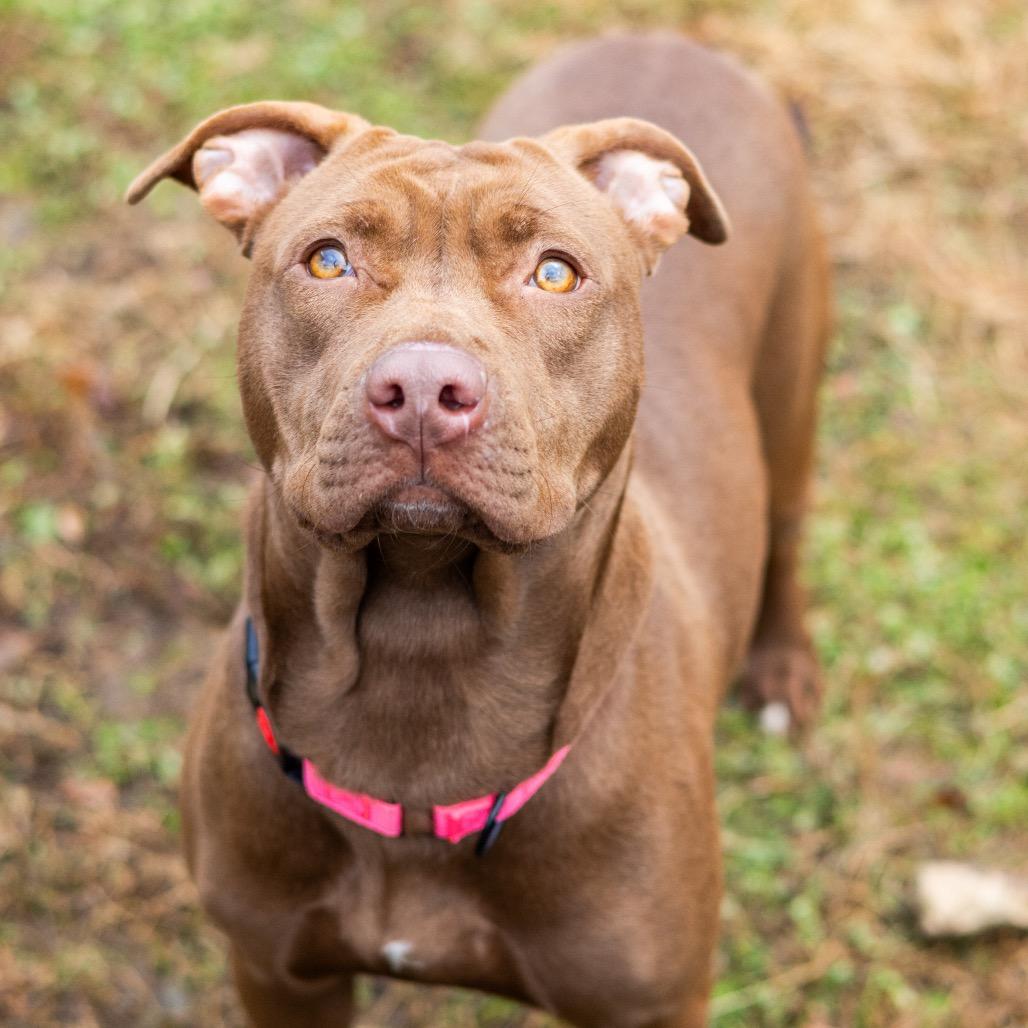 Prada — thumbnail 4