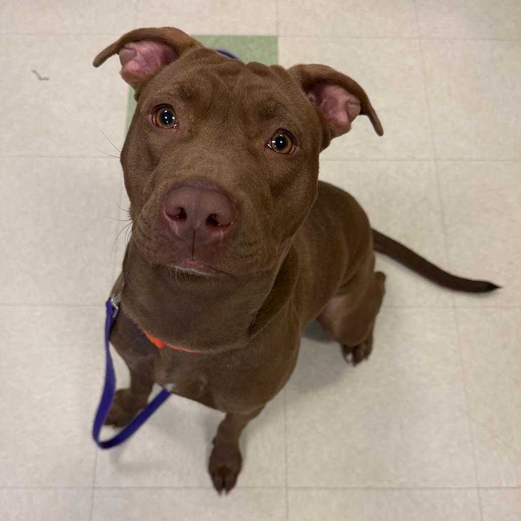 Prada — thumbnail 5