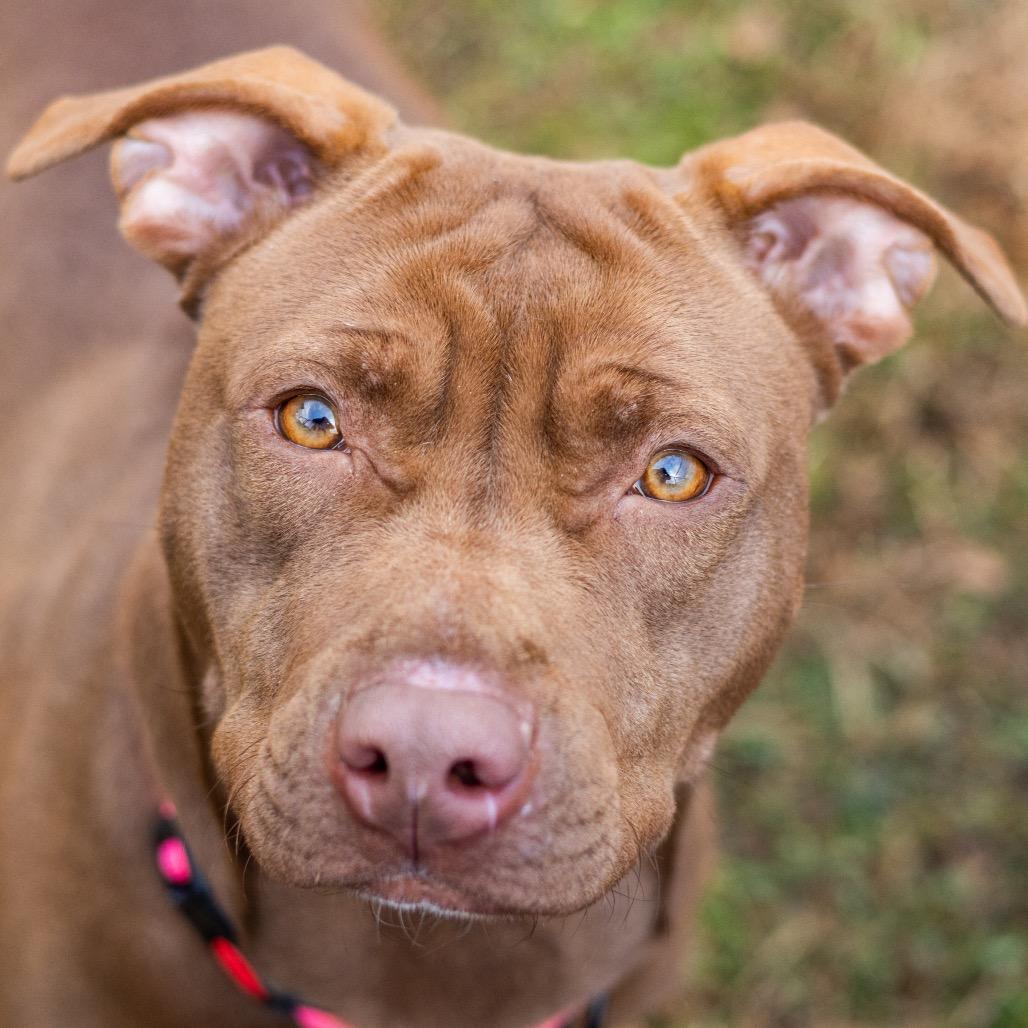 Prada — thumbnail 6