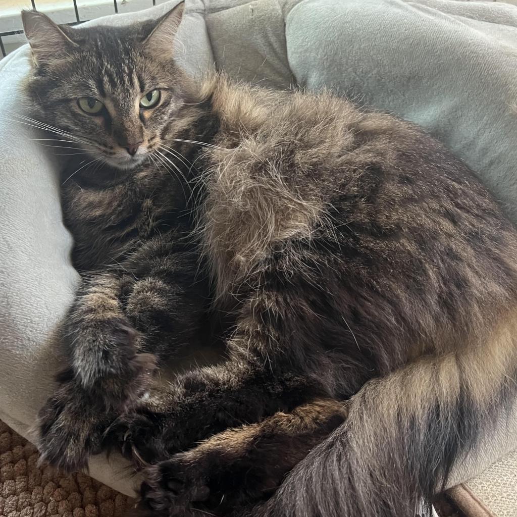 Mama Tabitha — thumbnail 2