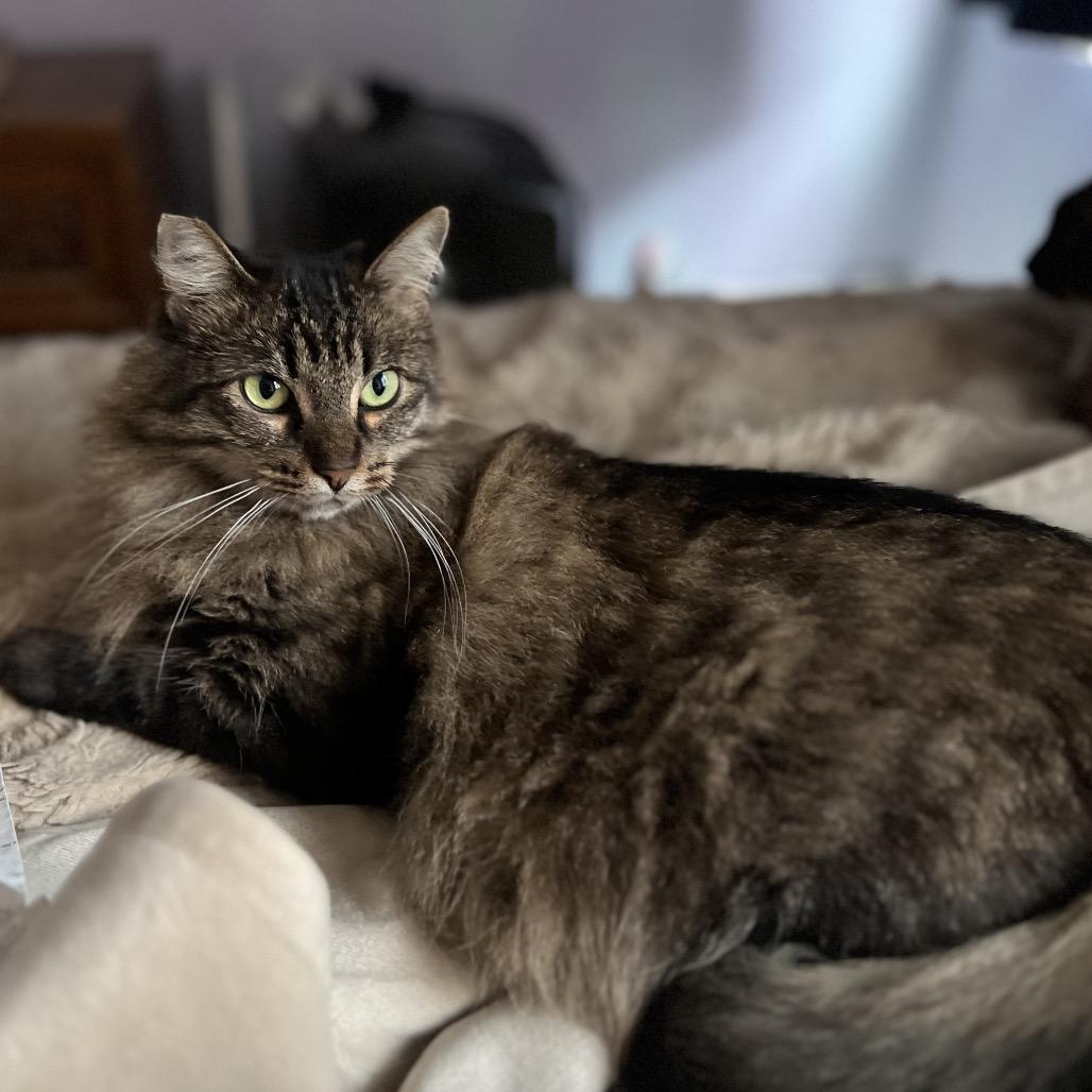 Mama Tabitha — thumbnail 3