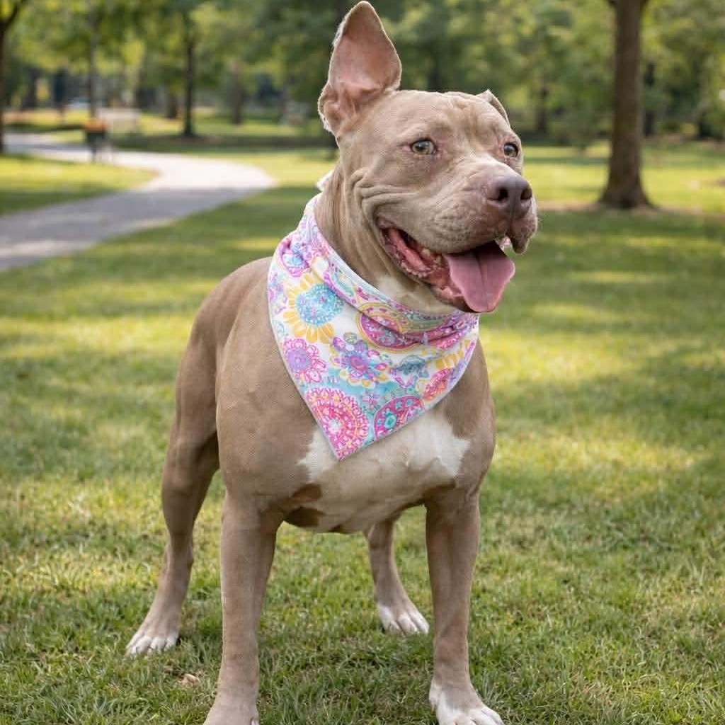 Terry — thumbnail 2