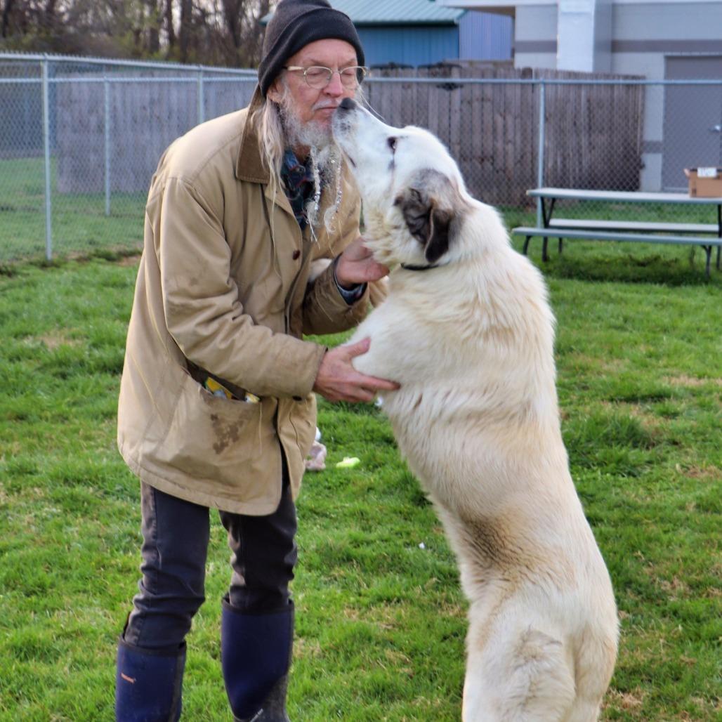 Enlarge Griffin, a Adoptable Mixed Breed in Jeffersonville, IN image 3/6