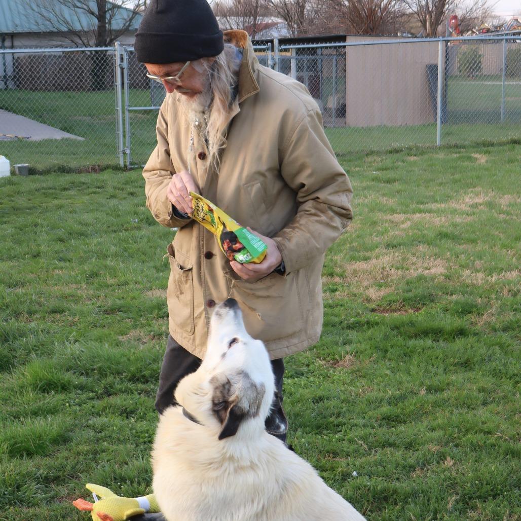Enlarge Griffin, a Adoptable Mixed Breed in Jeffersonville, IN image 6/6