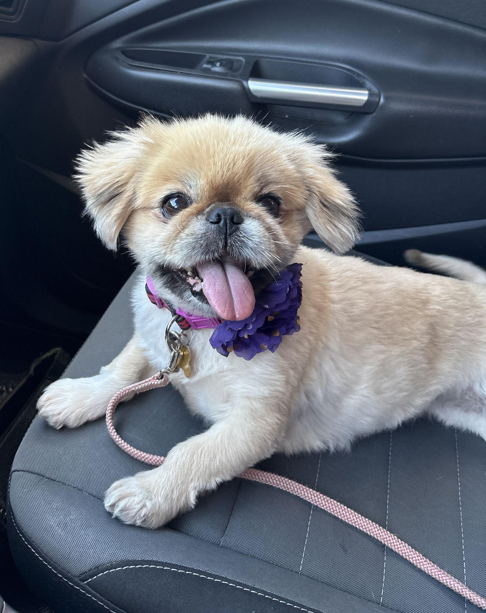 Kaylee — thumbnail 3