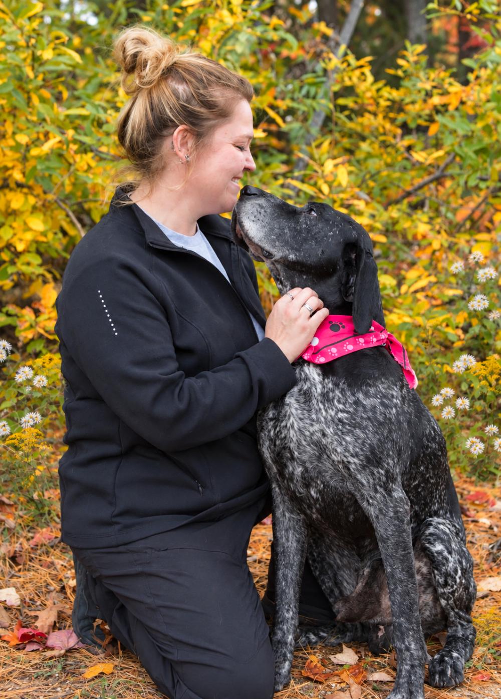 Enlarge Percy, a Adoptable mixed breed in Cheboygan, MI image 2/6